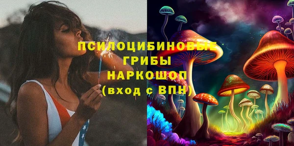 spice Дмитров