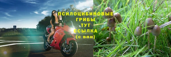 альфа пвп VHQ Дмитриев