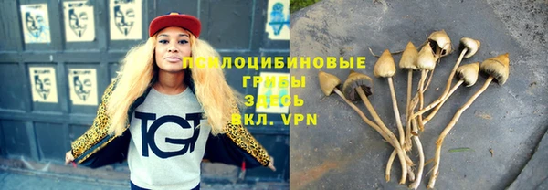 spice Дмитров