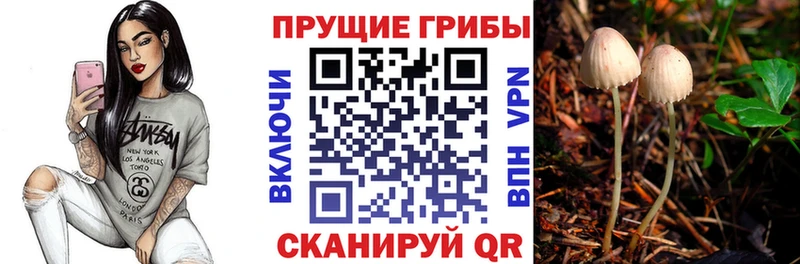 цены наркотик  Жигулёвск  Псилоцибиновые грибы мухоморы 